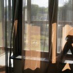Parole per Iniziare un Discorso e Strategie per Coinvolgere il Pubblico